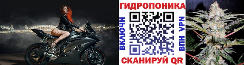 дарк нет клад  Черноголовка  Каннабис AK-47 